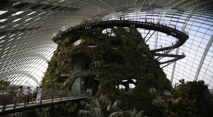 Guests visit a cool conservatory at the Gardens by the Bay in Singapore June 28, 2012. The 101-hectare gardens situated at the heart of Singapore's new downtown at Marina Bay, which have two greenhouses and 220,000 plants from almost every continent, was officially opened by Singapore's Prime Minister Lee Hsien Loong on Thursday. REUTERS/Tim Chong (SINGAPORE - Tags: ENVIRONMENT SOCIETY TPX IMAGES OF THE DAY) Published: Čer. 28, 2012, 2:56 odp.