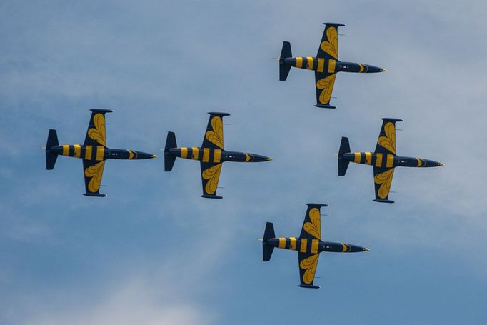 L - 39 Albatros - Baltic Bees