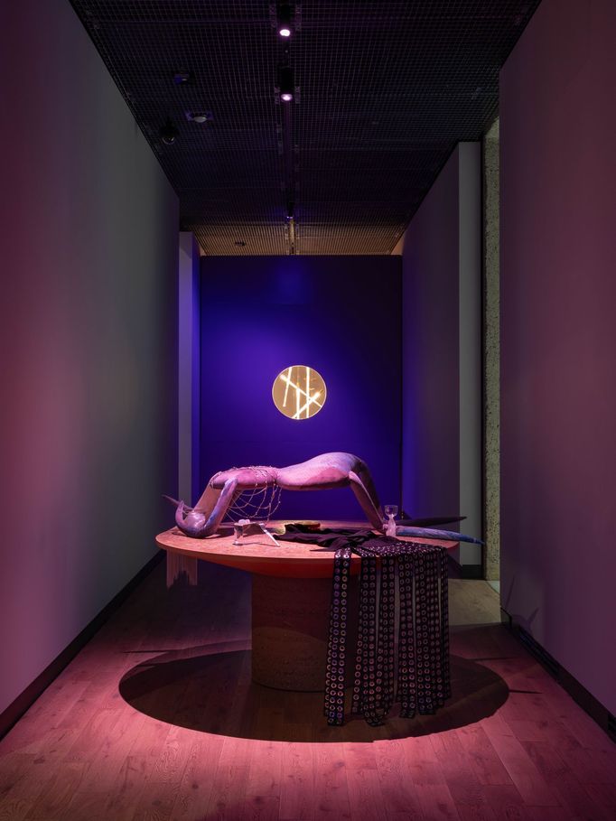 Snímek z výstavy Space of Desire.