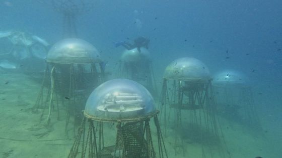 Film a architerktura, festival,