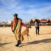 Lucie Steinzová: Sahara festival
