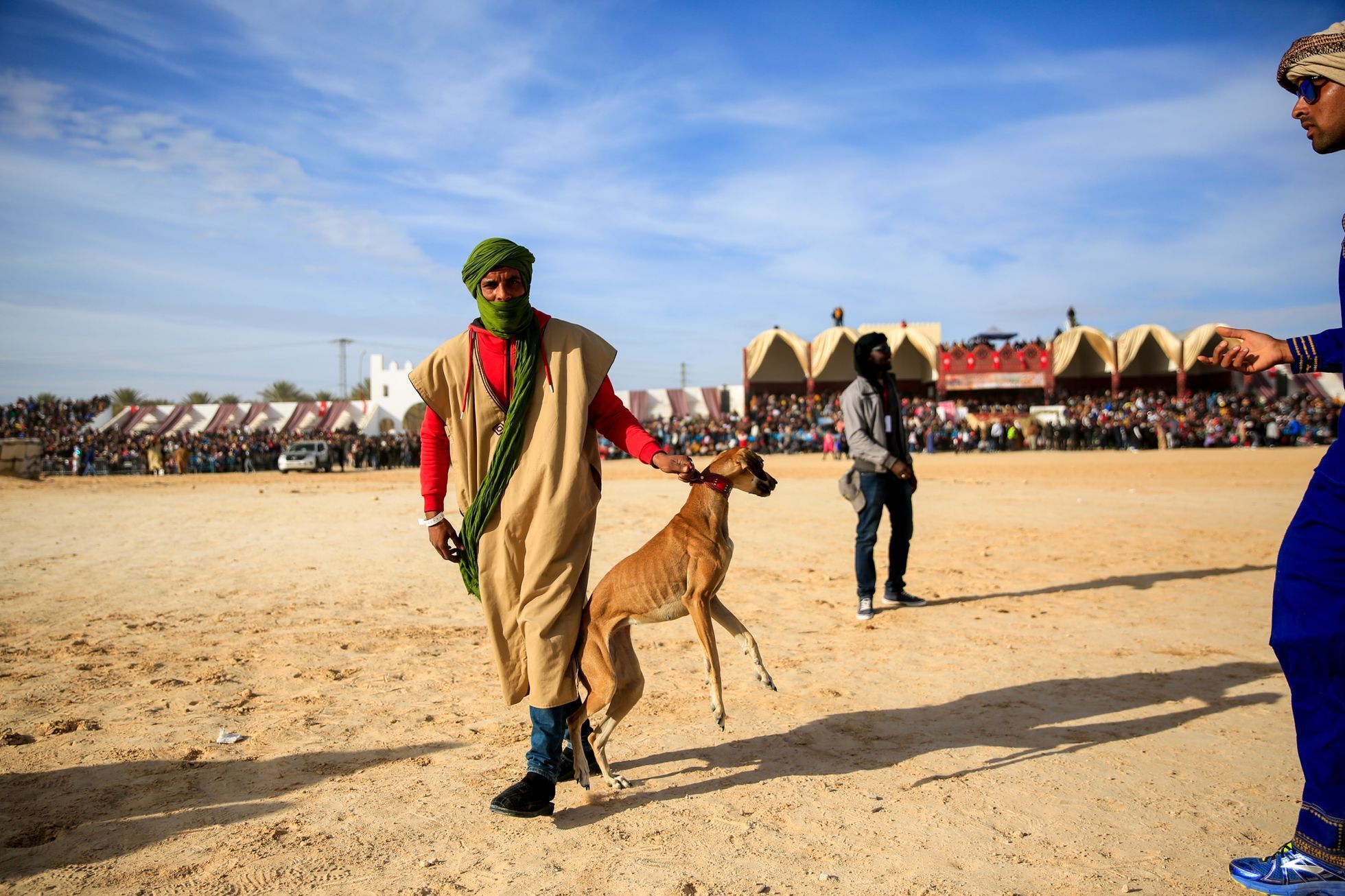 Lucie Steinzová: Sahara festival