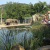 Sloni v pražské ZOO