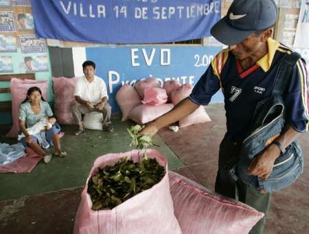 Bolívijec nakupující na tržišti koku kontroluje kvalitu lístků