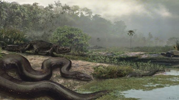 Největší had by člověka slupl jako malinu - ilustraci, jak mohl vypadat, vytvořili vědci z University of Florida
