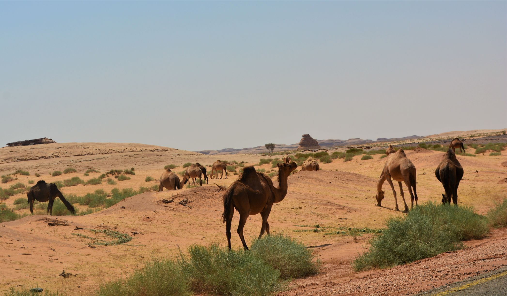 Saúdská Arábie pohledem Matěje Krče
