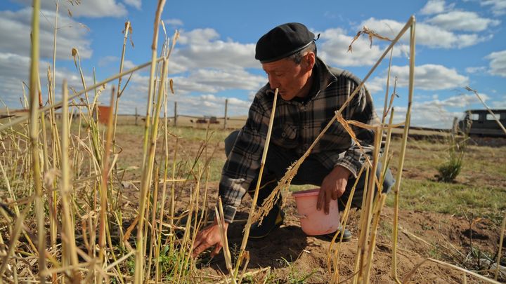 Musíme urychlit adaptaci na změnu klimatu, dopadá na všechny, varují výzkumníci OSN; Zdroj foto: Asian Development Bank