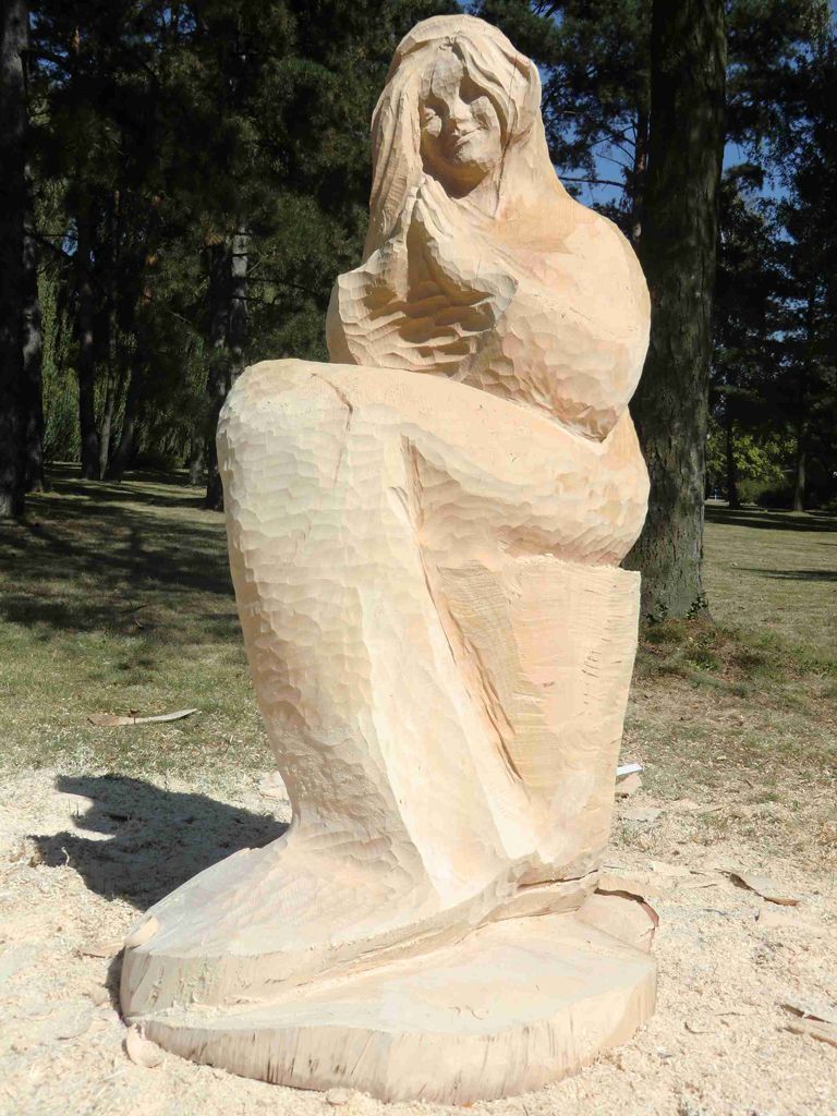 Dřevosochání Hodonín