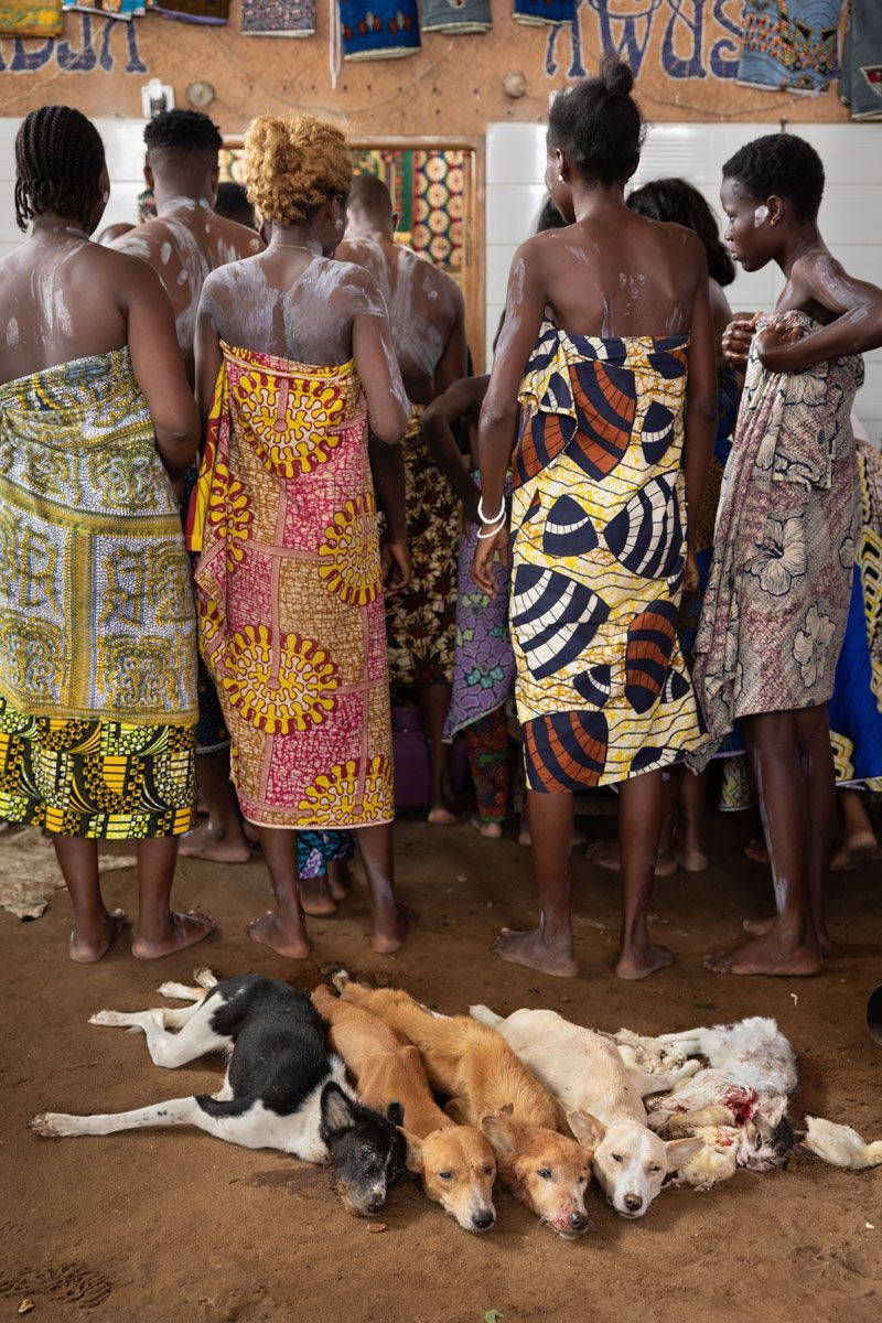 Fotoroeportáž Michala Novotého z obřadů vodun (vúdú, woodoo) v africkém Beninu