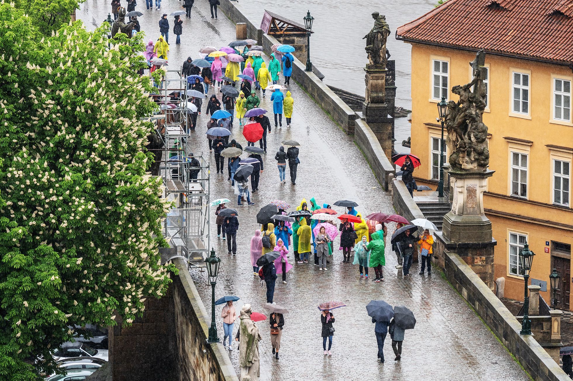 Tomáš Vocelka: Praha pod věžemi (když prší)