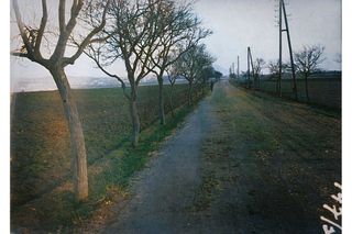 Snímek okresní silnice u Roudnice nad Labem, kde došlo k útoku Štěpánka na Zdeňku Drobnou z Libotěnic. Snímek z policejní dokumentace. 30. léta. Kolorováno