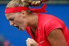 Tenis 2014: Kvitová útočí na Top 5, Berdych musí bránit body