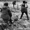 Guerra de las Malvinas