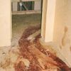 Jednorázové užití / Uplynulo 15 let od skandálu týraných iráckých vězňů ve věznici Abú Ghrajb / Wiki-PD