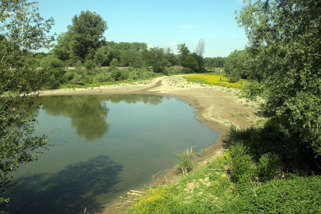 Řeka Morava u Strážnice