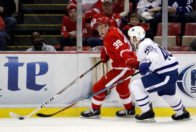 NHL: Toronto Maple Leafs vs. Detroit Red Wings (Anthony Mantha a Roman Polák)