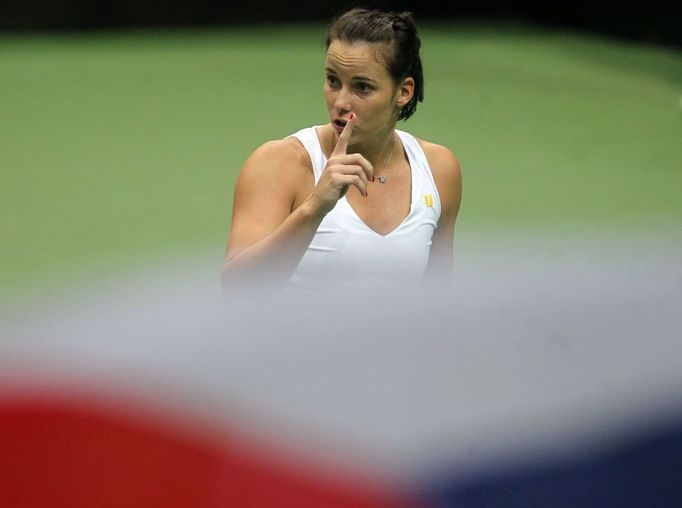 Fed Cup, Česko - Austrálie: Jarmila Gajdošová