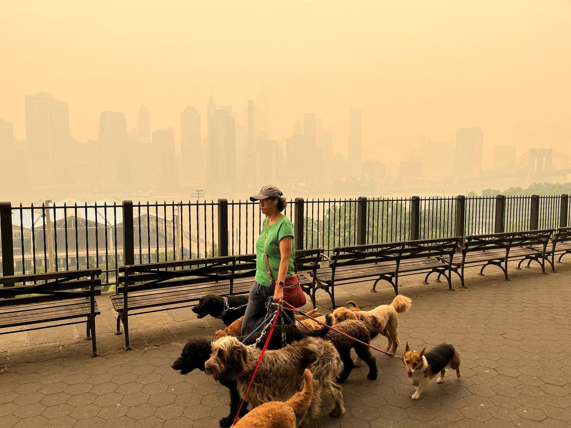 New York USA smog kouř požáry