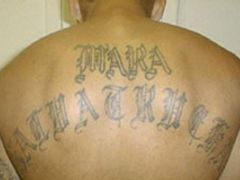 Tetování na zádech člena salvadorského gangu Mara Salvatrucha alias MS-13.