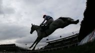 Barry Geraghty je zase loňský pětinásobný šampion. Nejprestižnější Gold Cup ale vyhrál jen v roce 2005.