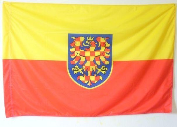 Jak se propagují strany: Moravané