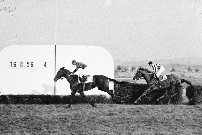 Na snímku je zachycen vítěz Čs. derby Blyskač. Ten v roce 1956 vyhrál kromě derby i tzv. klasickou trojkorunu. Na záběru z mezinárodního mítinku ho jede Karel Havelka.