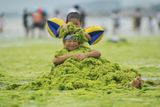 Až 500 kilometrů čtverečních oceánu u pobřežního města Čching-tao je v posledních týdnech pokryto zelenou řasou.