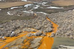 Řeky na Aljašce oranžoví. Vymírají kvůli tomu ryby, o viníkovi mají vědci jasno