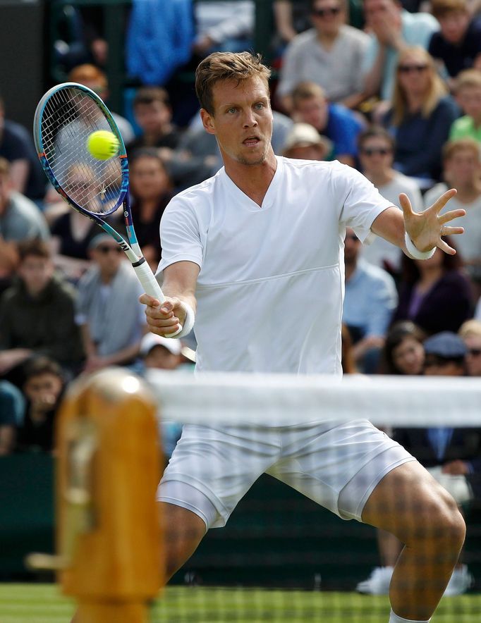 Wimbledon 2016: Tomáš Berdych