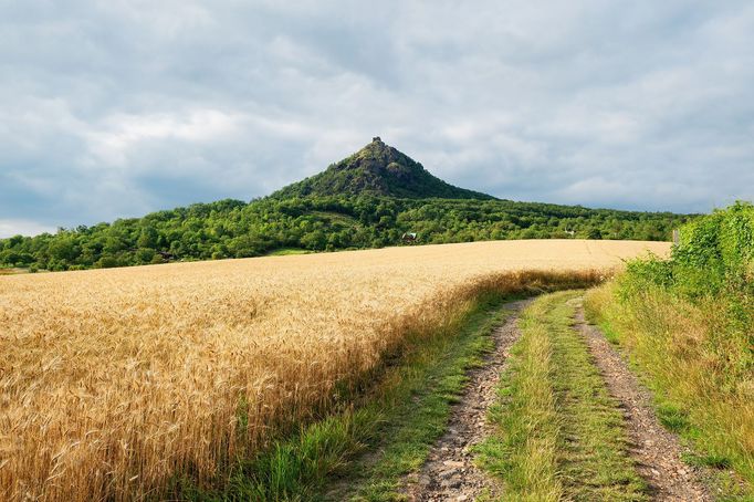 Zlatá stezka zemí hradů - České středohoří