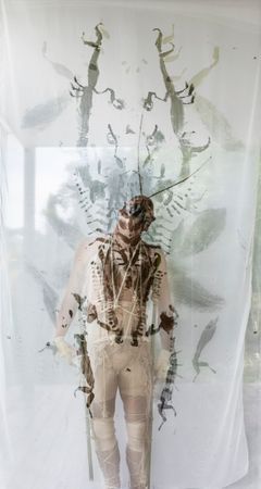 A sample of Robert Gabris' performance in Florence called Insectopia.