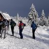 Lyže, běžky, sníh, hory - prosinec 2021