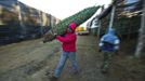 Felix Valencia carries a Christmas tree to a tractor trailer to be shipped at the Omni Farm in West Jefferson, North Carolina, November 17, 2012. Crews at the farm will harvest nearly 20,000 Christmas trees this season. North Carolina has 1,500 Christmas tree growers with nearly 50 million Fraser Fir Christmas trees on over 35,000 acres. Picture taken November 17, 2012. REUTERS/Chris Keane (UNITED STATES - Tags: BUSINESS EMPLOYMENT ENVIRONMENT AGRICULTURE SOCIETY) Published: Lis. 19, 2012, 4:18 odp.