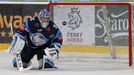 4. semifinále play off extraligy 2018/19, Kometa Brno - Liberec: Roman Will