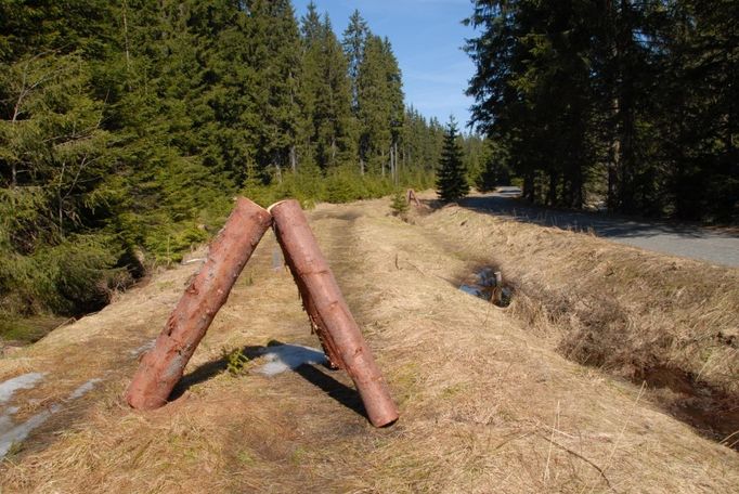 Trojnožky stojící u Modravy