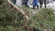 Hasiči a lesní dělníci odstraňovali 17. prosince padlé stromy, které po noční vichřici zablokovaly u Červené Řečice na Pelhřimovsku provoz na silnici Pelhřimov - Vlašim.