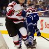 Zubrus a Franson bojují o puk v NHL 2013