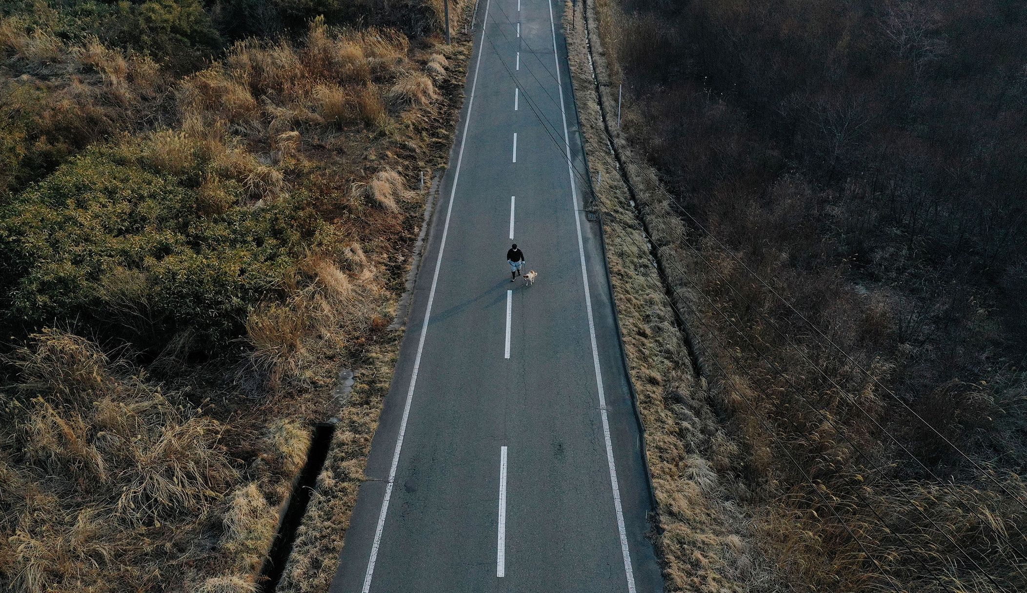 Fotogalerie / Tak pracuje spasitel opuštěných koček v japonské Fukušimě