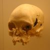 Fotogalerie / Vzácné artefakty z vyhořelého Národního muzea v Rio de Janeiru / Wikipedia / 5