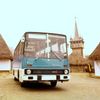 Ikarus 211