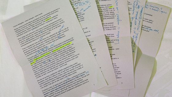 Toto říkal Bursík na sjezdu