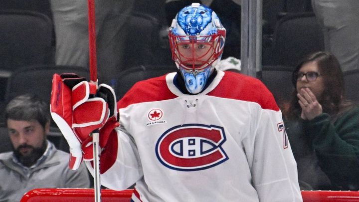 "Ježíši Kriste!" Českou kometu Dobeše si kvůli reklamě dobírají spoluhráči v NHL; Zdroj foto: Reuters