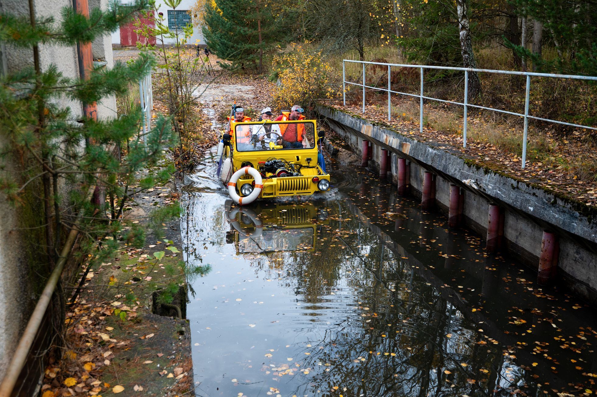 Přibáň, žlutá žábe plave