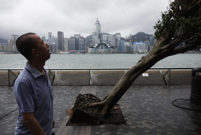 A man reacts while walking past an uprooted tree after Typhoon Vicente hit Hong Kong July 24, 2012. A severe typhoon hit Hong Kong on Tuesday, disrupting business across the financial hub, with offices and the stock market to remain closed for at least part of the morning after the city raised its highest typhoon warning overnight. REUTERS/Tyrone Siu (CHINA - Tags: ENVIRONMENT DISASTER BUSINESS CITYSPACE TPX IMAGES OF THE DAY) Published: Čec. 24, 2012, 3:12 dop.