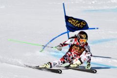 Fenningerová vyhrála obří slalom v Aare a vede SP