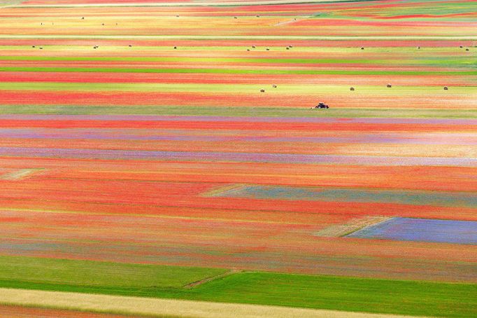 Rozkvetlá letní pole v okolí italské vesnice Castelluccio di Norcia