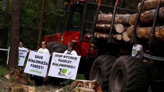Ekologičtí aktivisté protestují proti kácení ve vzácném Bělověžském pralese na východě Polska