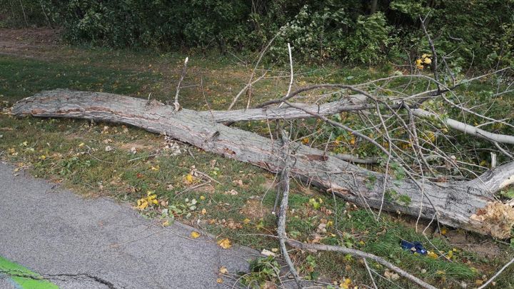 Na Slovensku kvůli větru spadl strom, zabil čtrnáctiletého chlapce