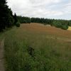 Krkonošský národní park