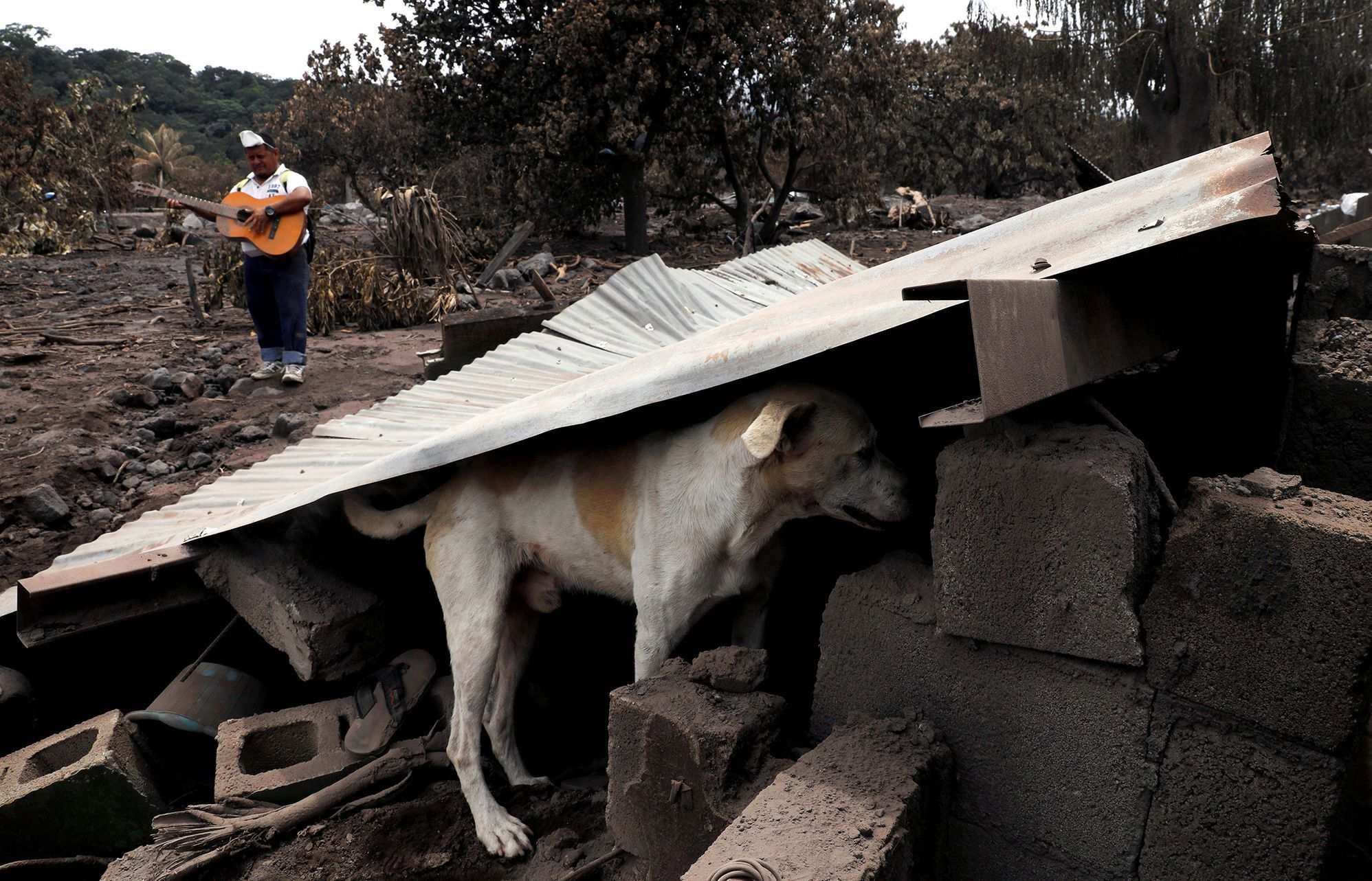 Fotogalerie / Následky po výbuchu sopky v Guatemale / Reuters / 47